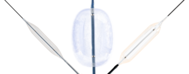 AltoSa XL PTA Balloons